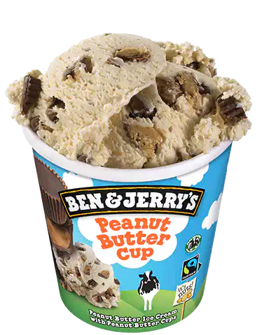 Ben & Jerry's Peanut Buttercup Ice Cream