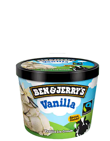 Ben & Jerry's Mini Vanilla Ice Cream Tub