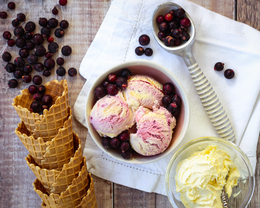 Marshfield Blackcurrants in Clotted Cream