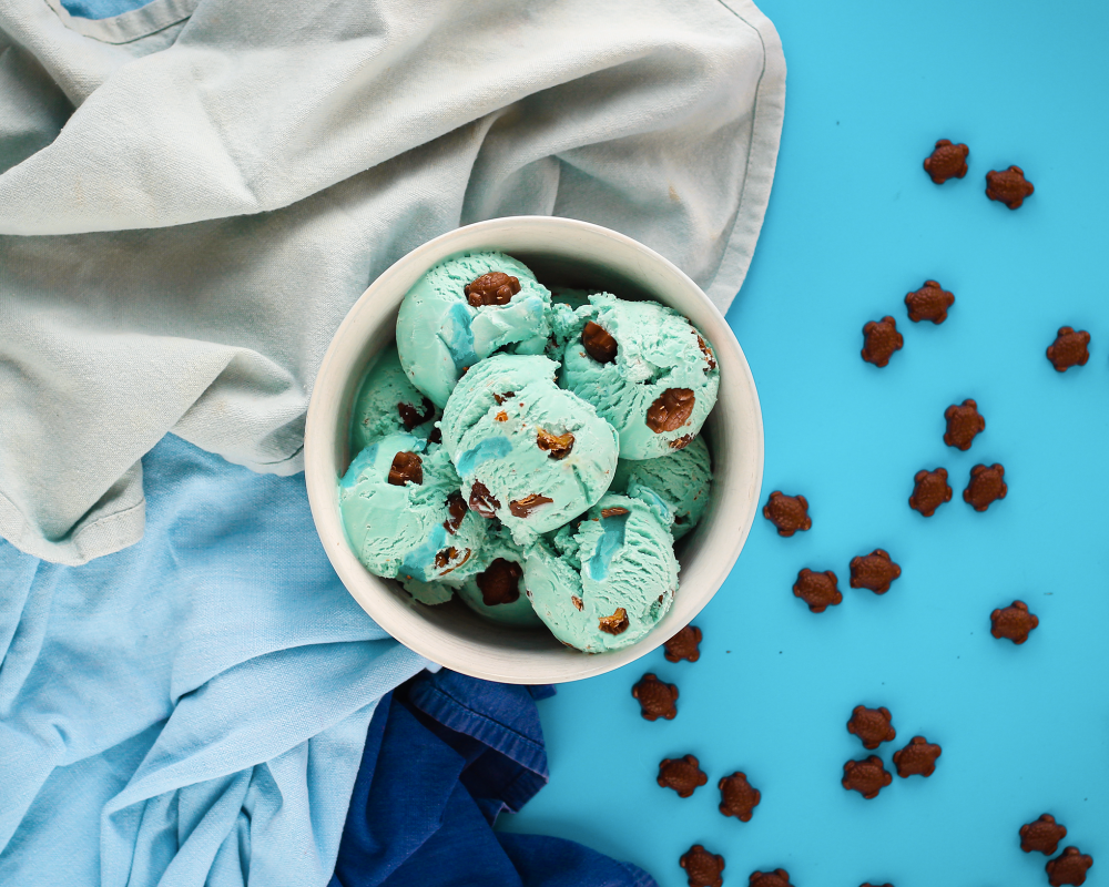 Marshfield Under The Sea