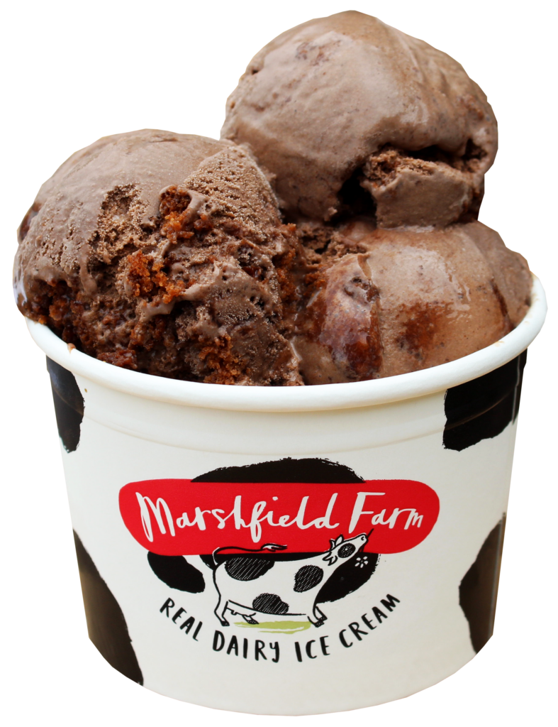 DWF - Cadbury Dairy Milk Caramel Stick - Impulse Ice Cream - Direct Wholesale Foods