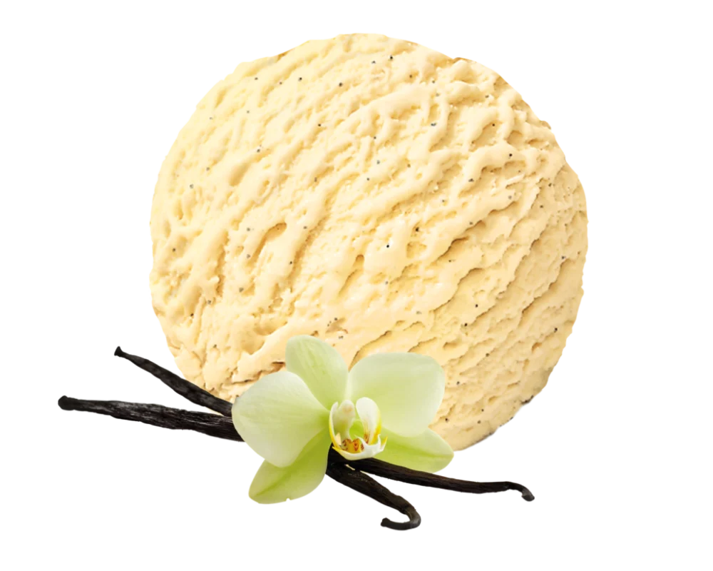Carte D’or VEGAN Vanilla