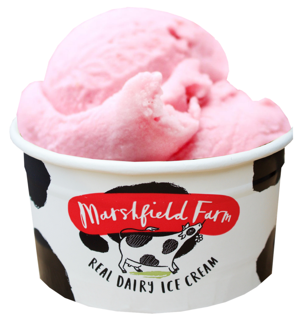 DWF - Cadbury Dairy Milk Caramel Stick - Impulse Ice Cream - Direct Wholesale Foods