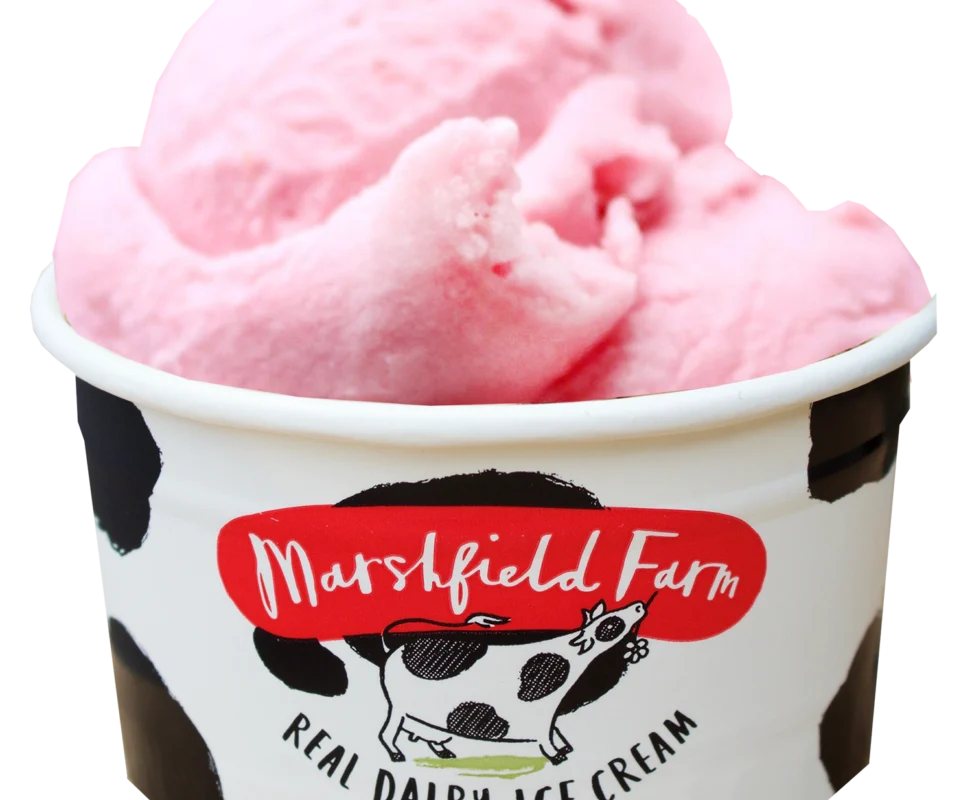 Marshfield 2 Scoop Wax Tubs