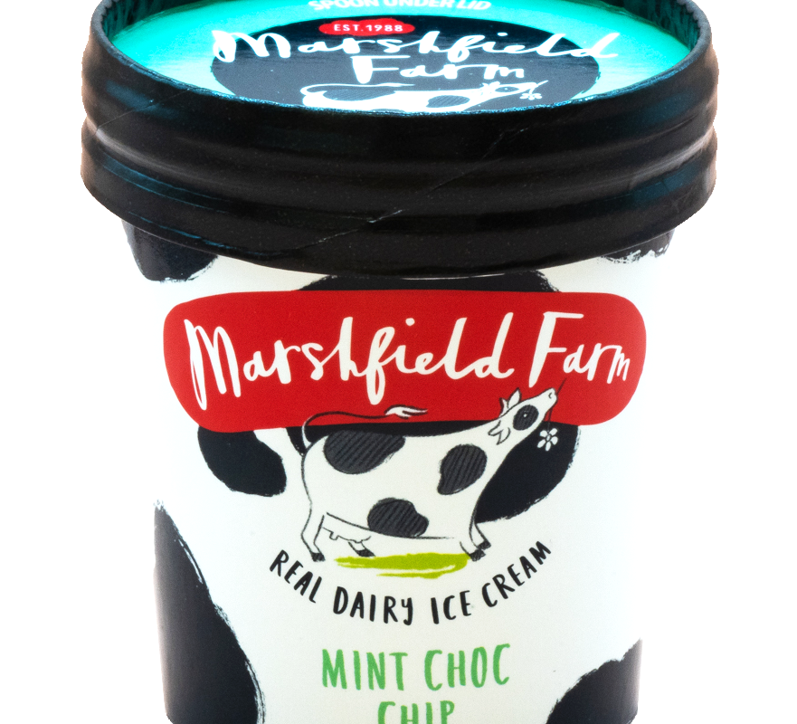 Marshfield Mint Choc Chip Mini Cup