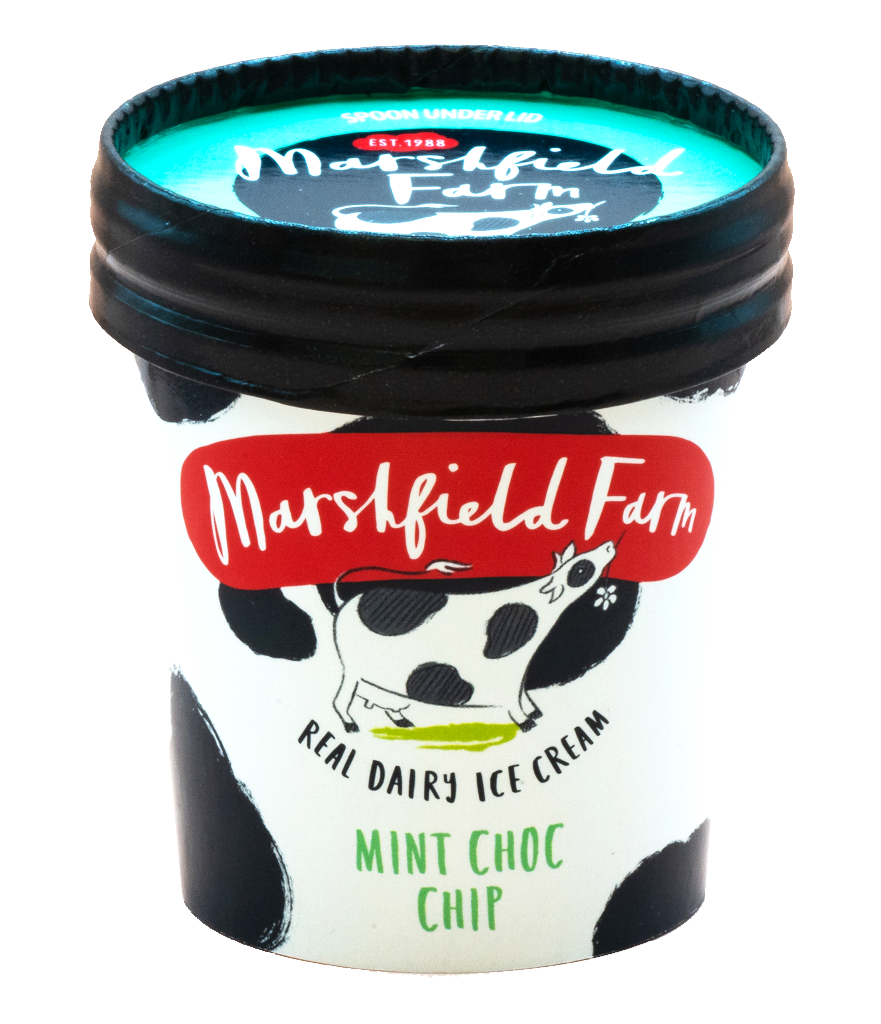 DWF - Cadbury Dairy Milk Caramel Stick - Impulse Ice Cream - Direct Wholesale Foods