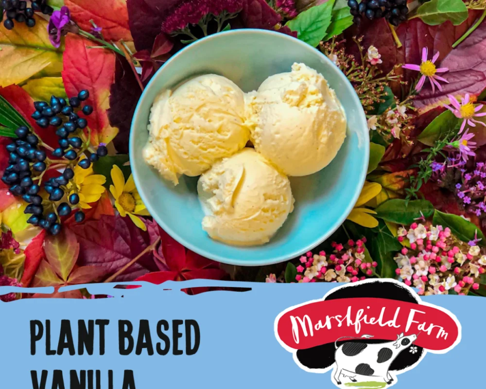 Marshfield Plant Based Vanilla