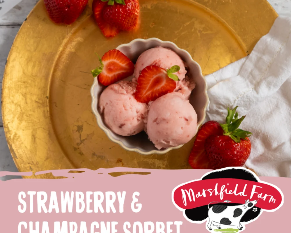 Marshfield Strawberry & Champagne Sorbet