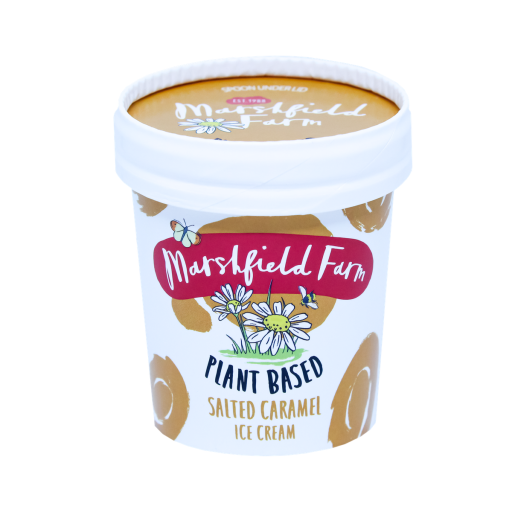 DWF - Cadbury Dairy Milk Caramel Stick - Impulse Ice Cream - Direct Wholesale Foods