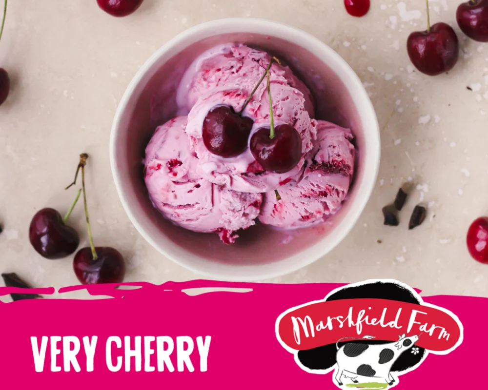 Marshfield Very Cherry