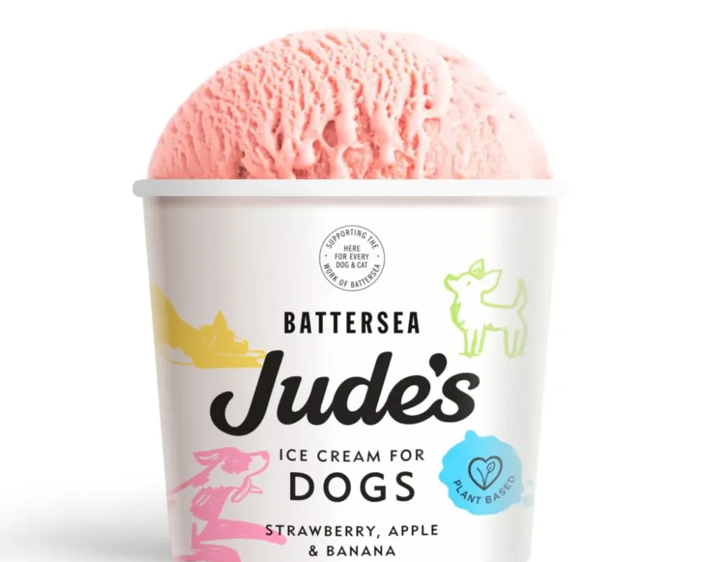 Judes-Ice-Cream-for-Dogs-90ml-1024x1024-1.webp