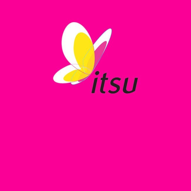 Itsu Frozen Food - Direct Wholesale Foods