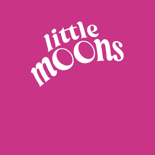 Little Moons Frozen Food - Direct Wholesale Foods