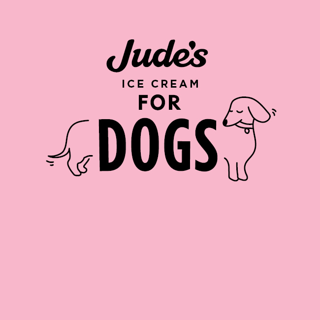 Jude's Ice Cream for Dogs - Direct Wholesale Foods